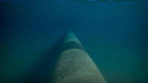 Predicting Underwater Landslides