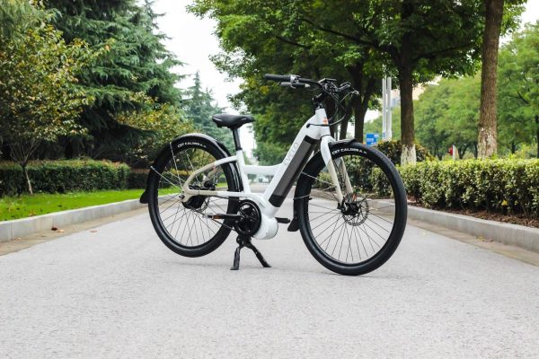 Navigation to Story: E-Bikes Help Reduce Global Warming